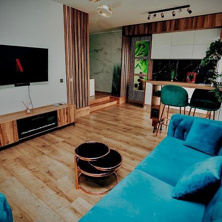 Jacuzzi Apartment Baia Mare Bagian luar foto