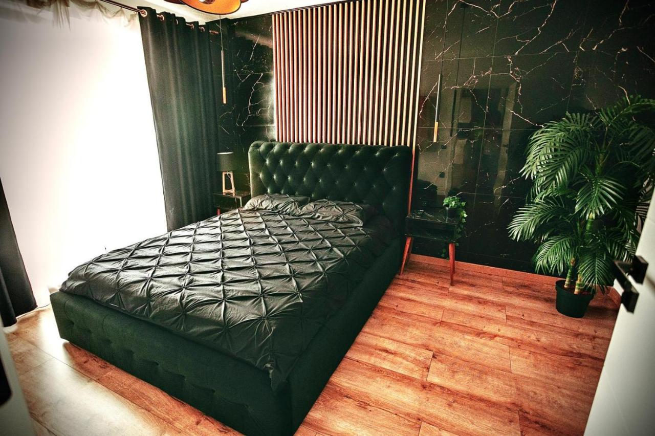 Jacuzzi Apartment Baia Mare Bagian luar foto
