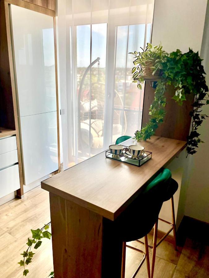 Jacuzzi Apartment Baia Mare Bagian luar foto
